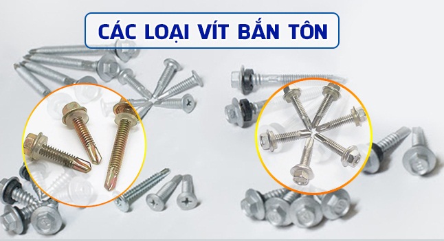 cac-loai-vit-ban-ton_1637247637