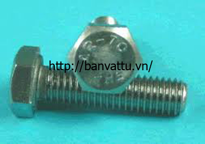 Bu lông M24x100