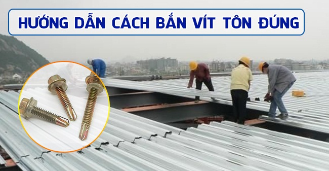huong-dan-cach-ban-vit-ton_1637247648